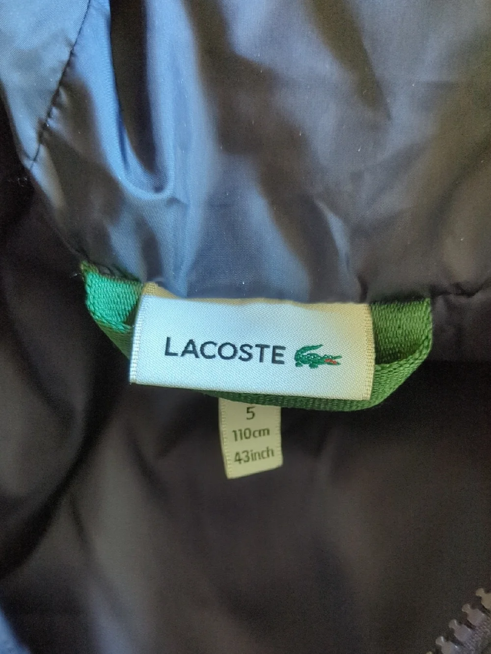 Lacoste Kid's' Navy Hooded Puffer Jacket Size 5